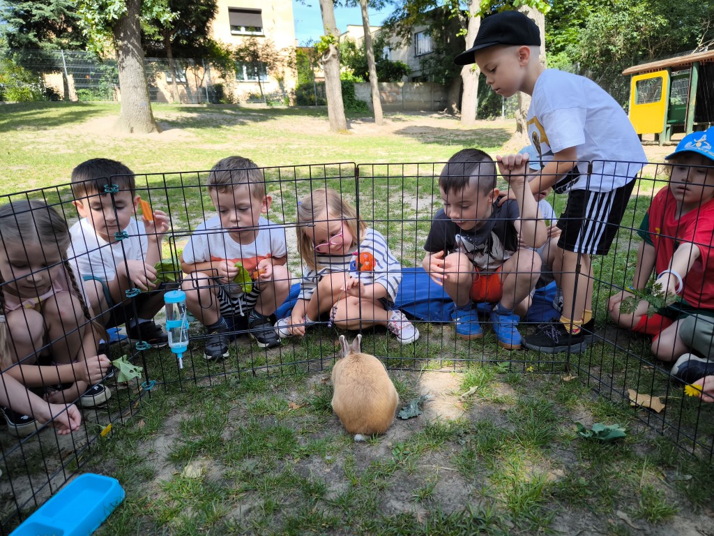 Nietypowy gość u „Biedronek”