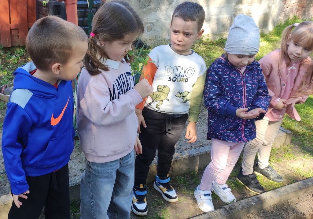 Warsztaty ogrodnicze w grupie „Motyli”