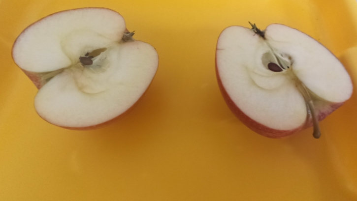 DZIEŃ JABŁKA w przedszkolu